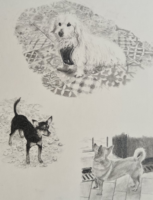 Рисунок в блокноте «Три собаки»