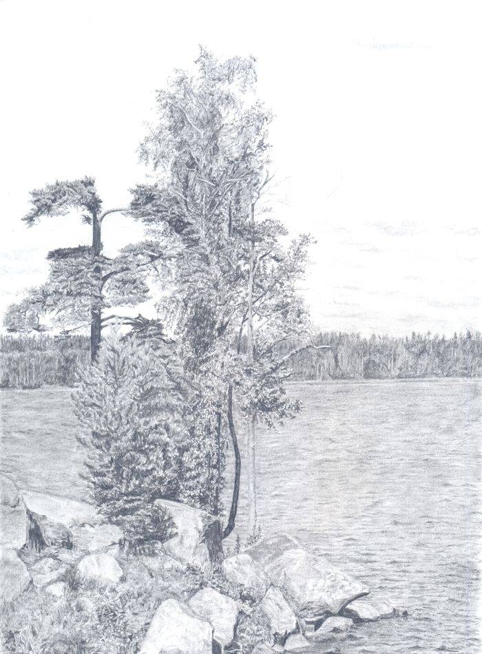 Рисунок карандашом «Пейзаж бухты и парка Монрепо»